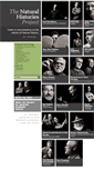 Mobile Screenshot of naturalhistoriesproject.org